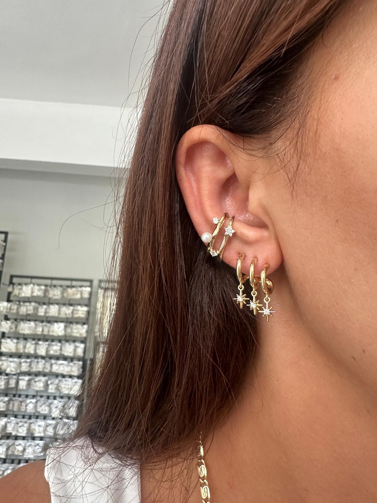 14K Gold Renkli Üçlü Görünüm Kutup Yıldızı Küpe