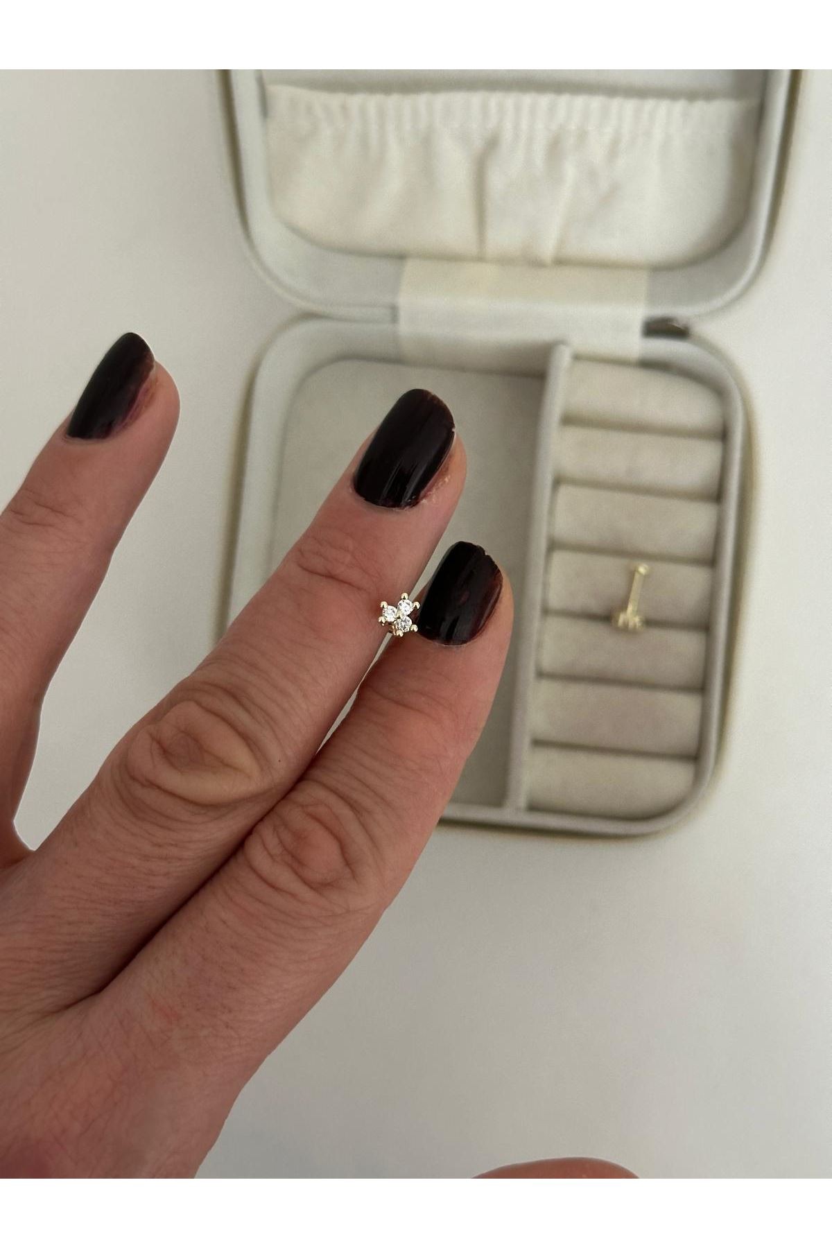 Tragus 77