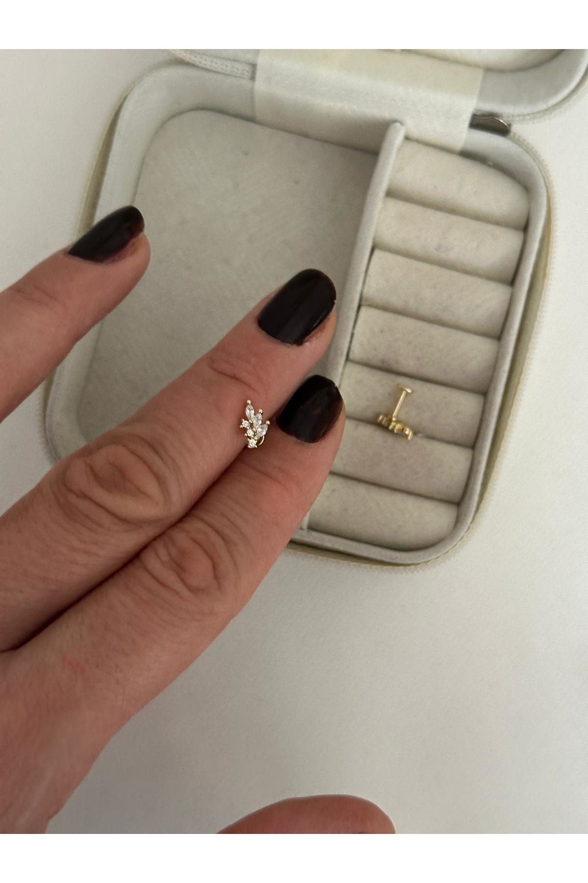 Tragus 80