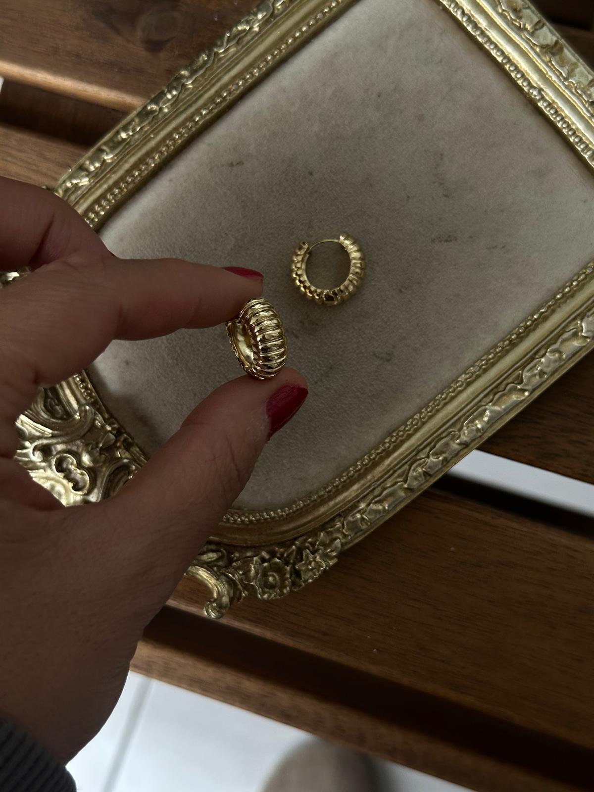 14K Gold Renkli Kuyum Halka Tombul Şerit Burgu Detay Küpe