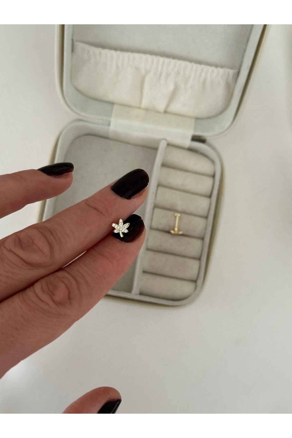 Tragus 62
