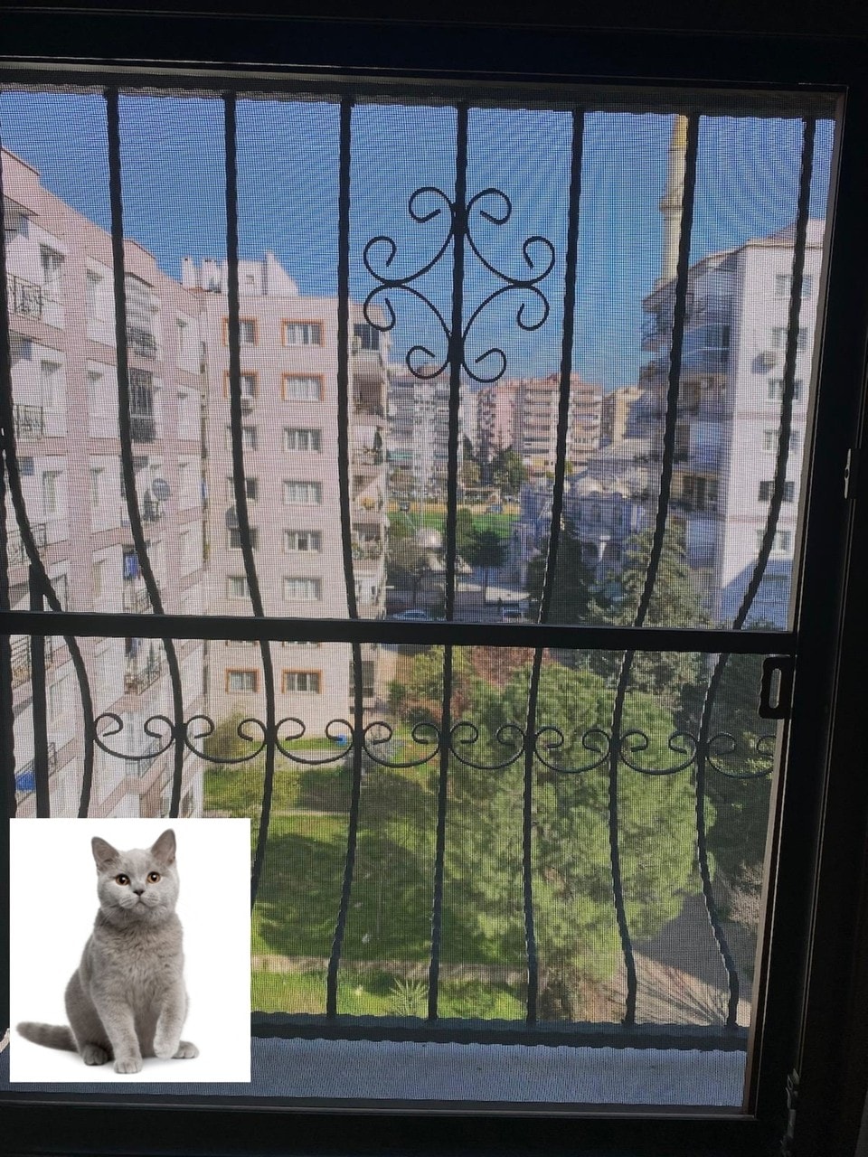 Sineklik Kedi Sinekliği Yırtılmaz Kedi Sinekliği FBERPOLYESTER 160X100 1.KALİTE SİNEKLİK TÜL image