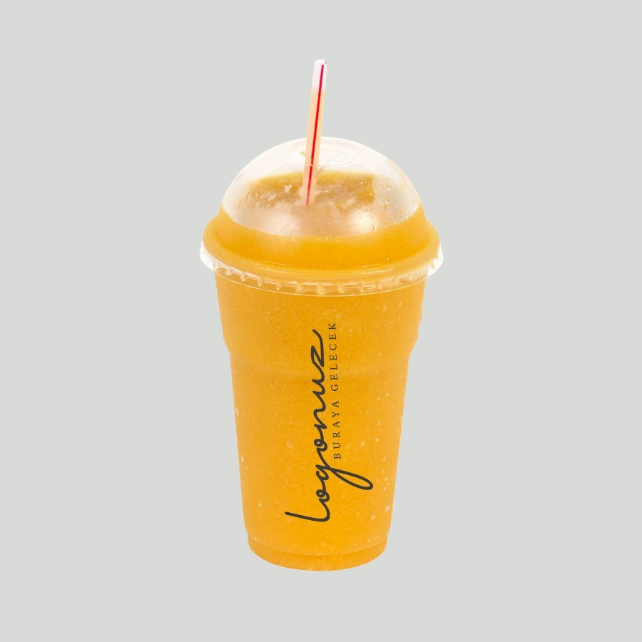 16 OZ PET BARDAK 