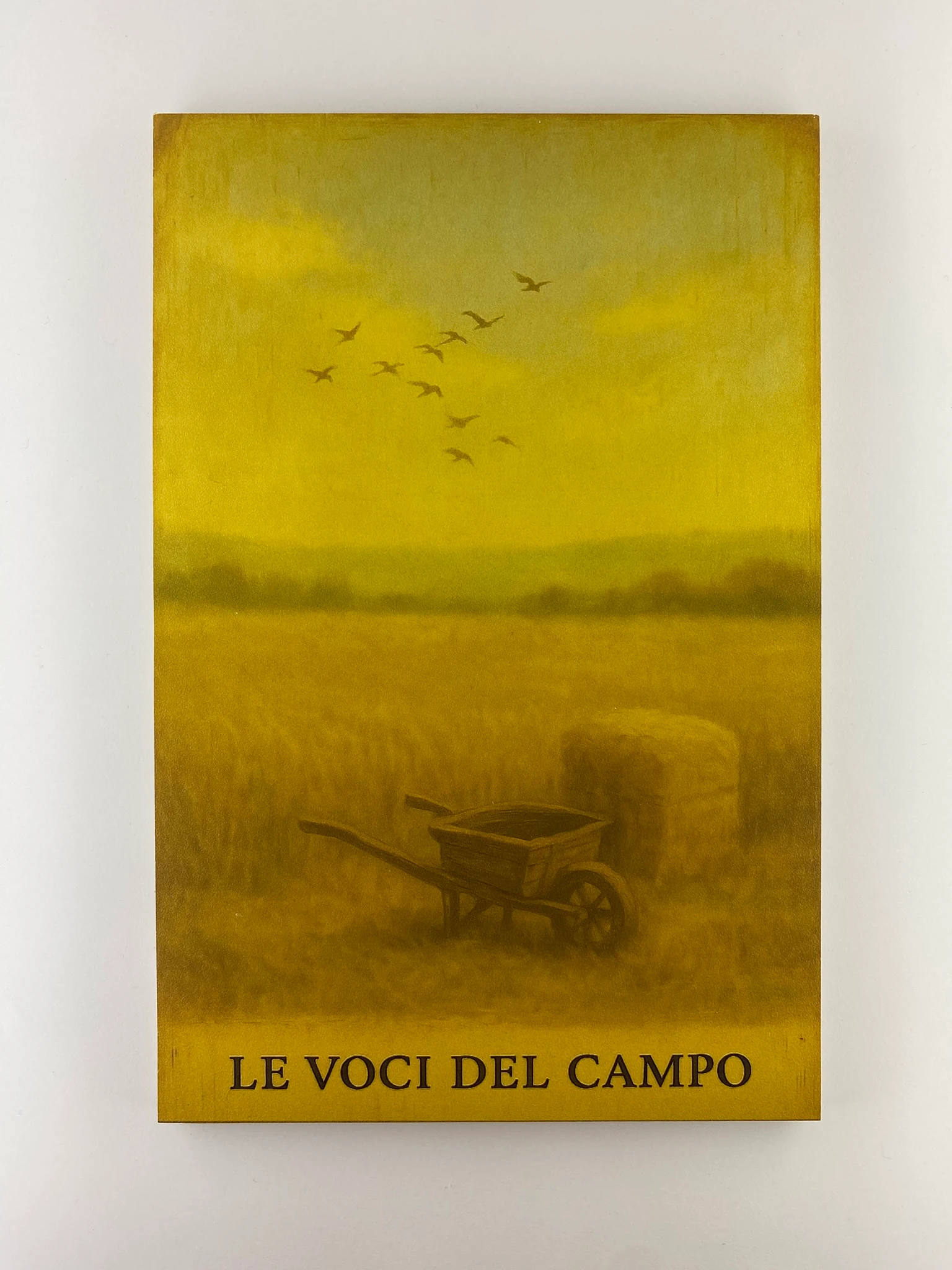 "Essenze di Campo" 3'lü Set