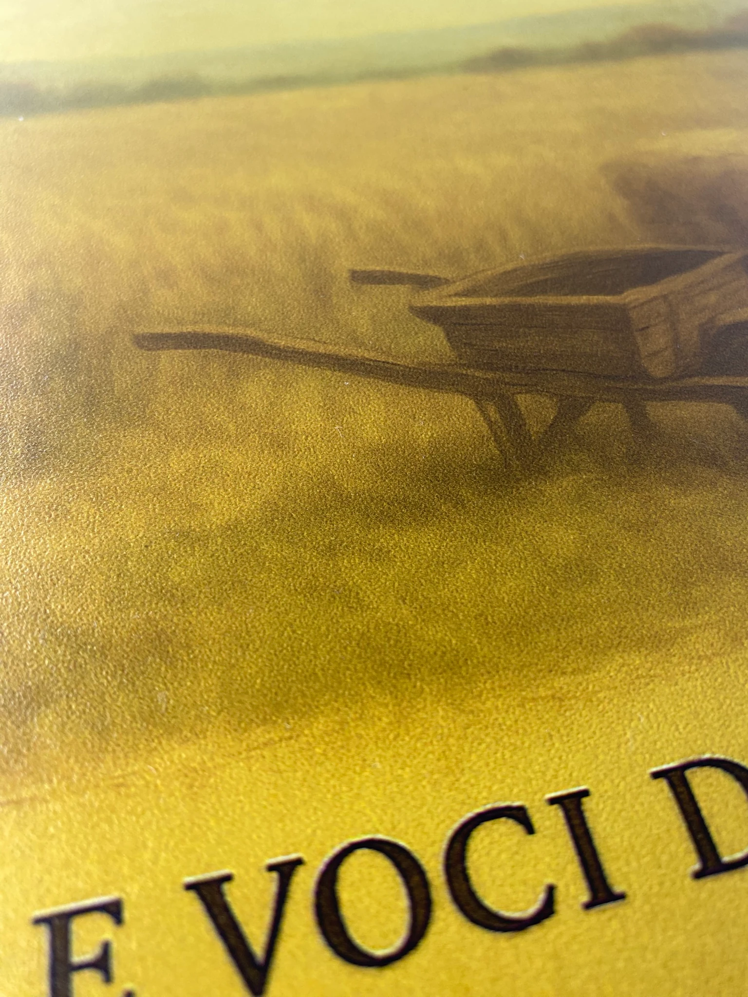 "Essenze di Campo" 3'lü Set