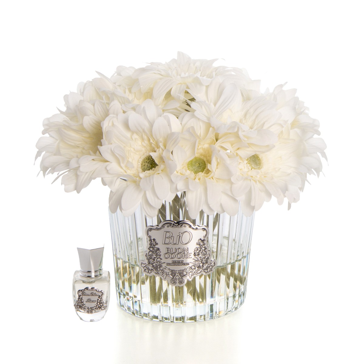 Gerbera Silver - Beyaz