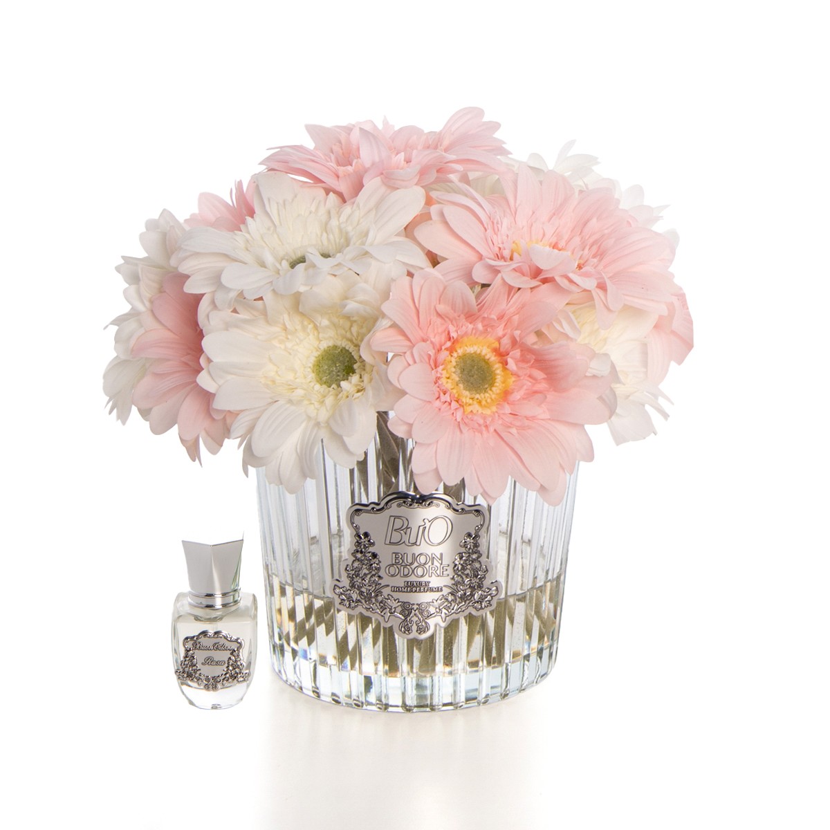 Gerbera Silver - Arajman