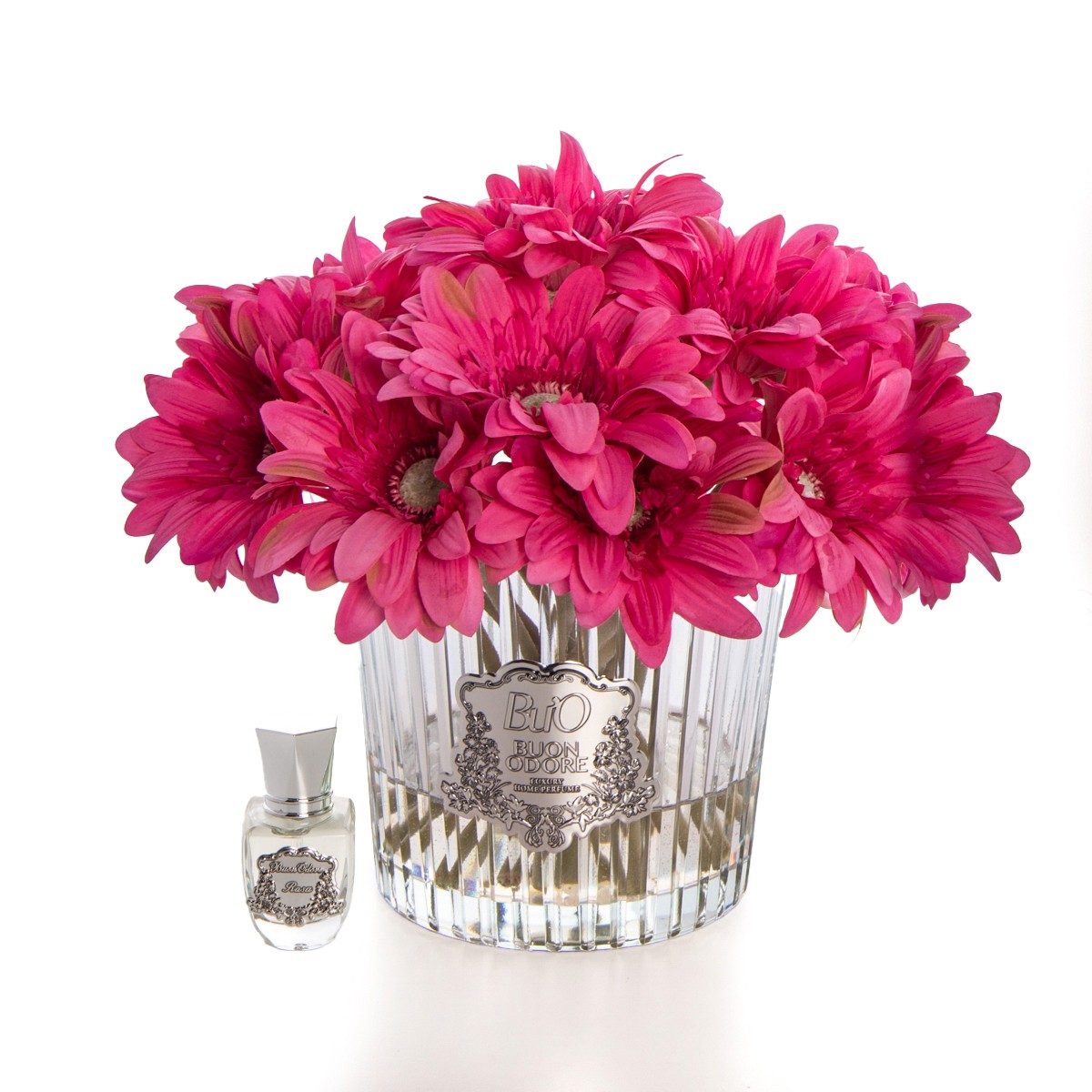Gerbera Silver - Fuşya