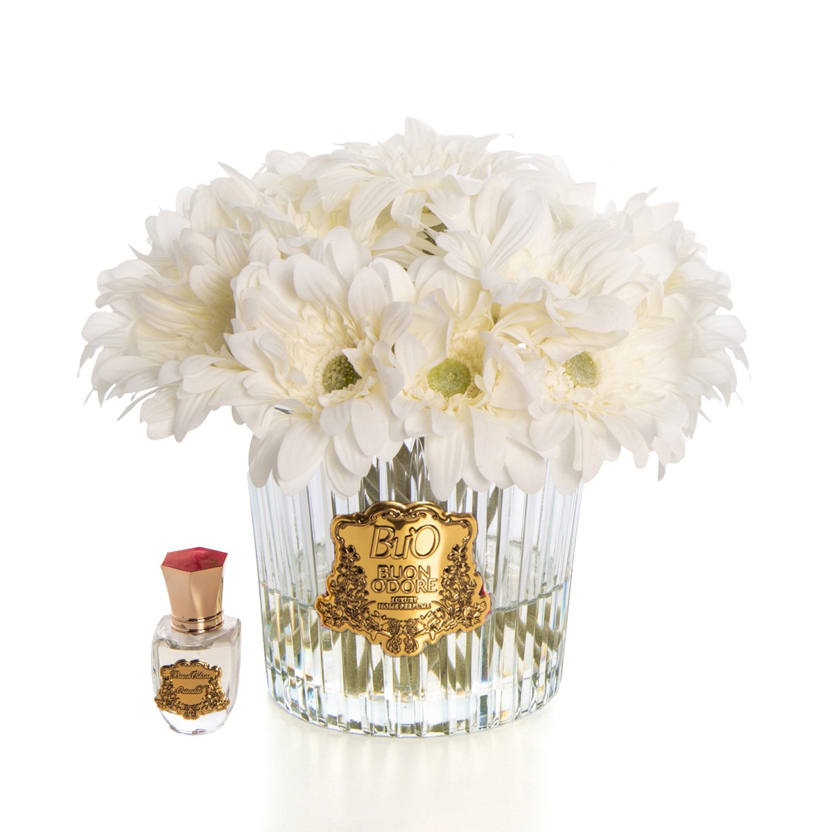 Gerbera Gold - Beyaz