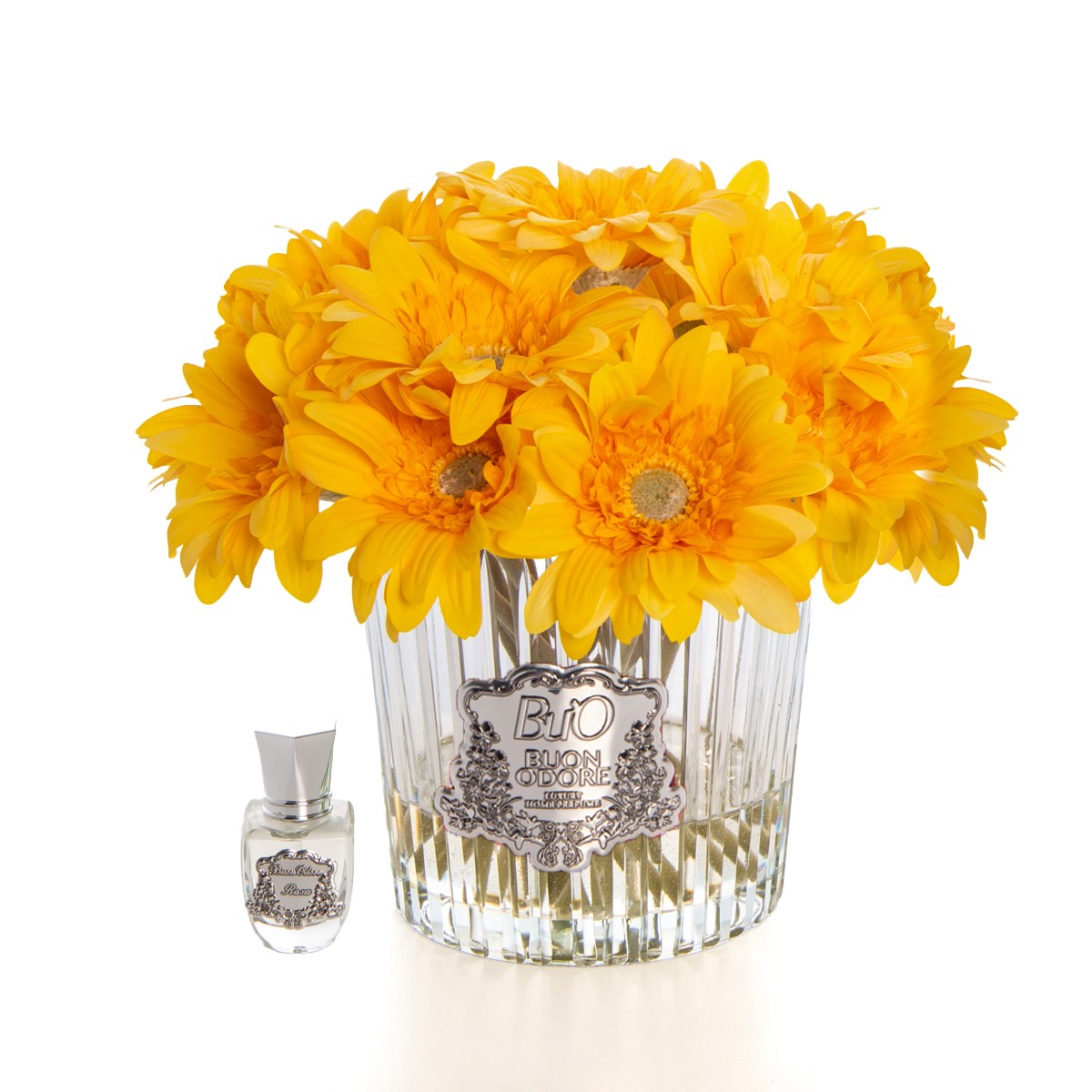 Gerbera Silver - Sarı