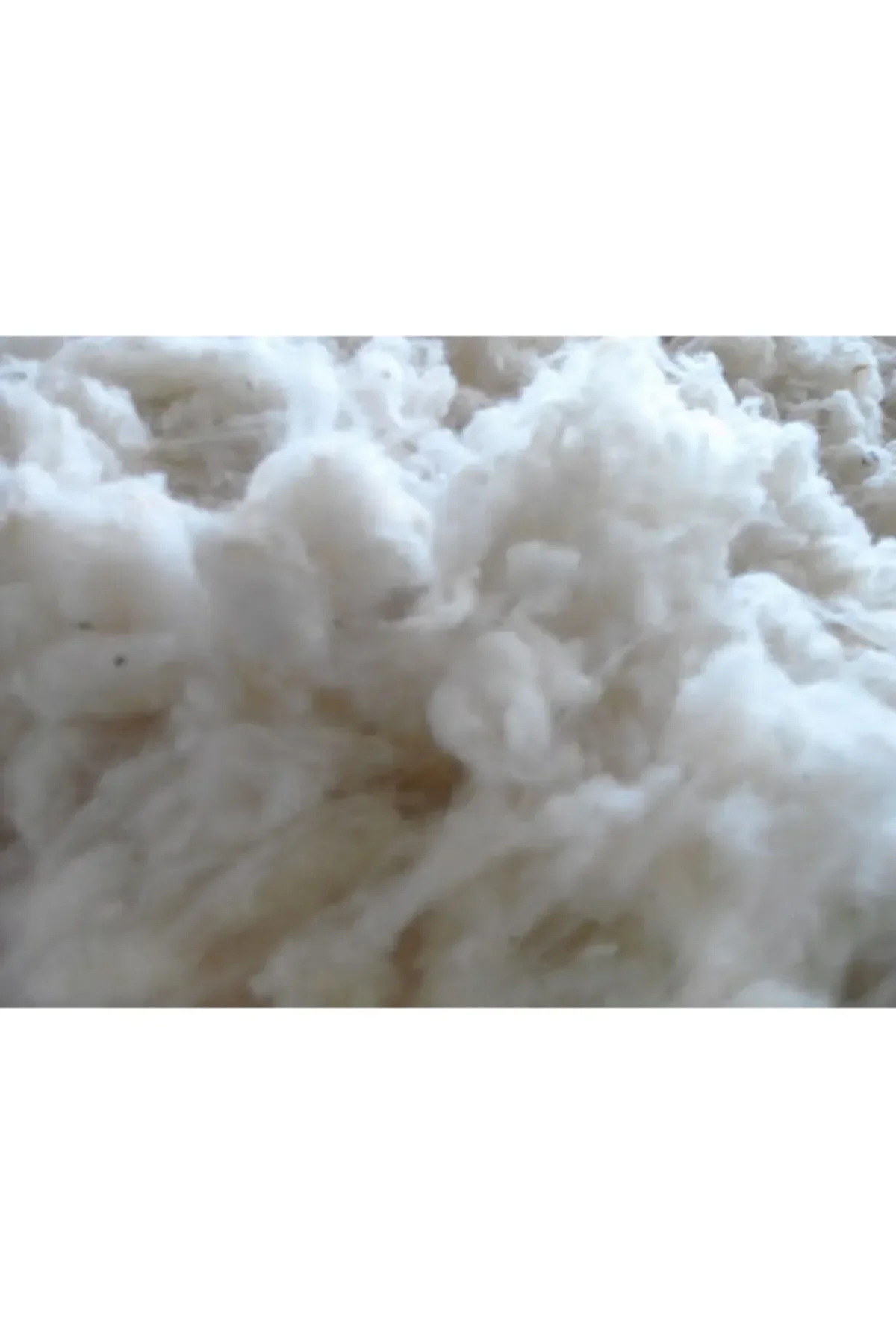 Pamuk 1 kg lık - Rulo