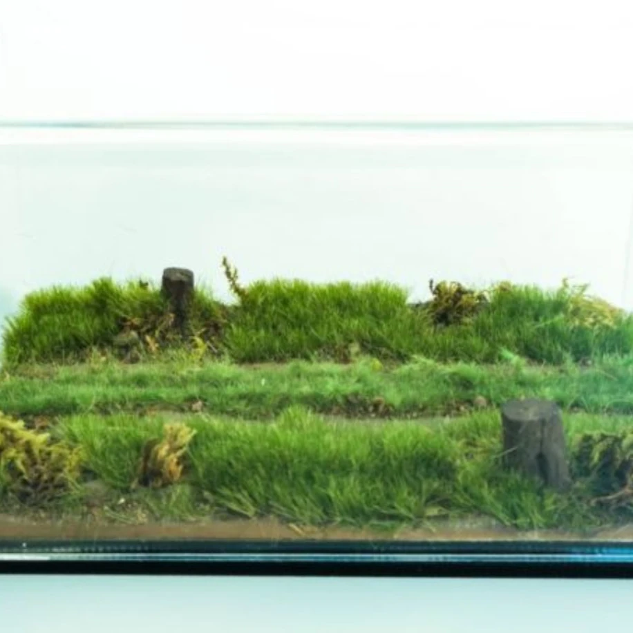 1/43-1/64 Ölçek Diecast Orman Yolu Diorama Zemin ve Case