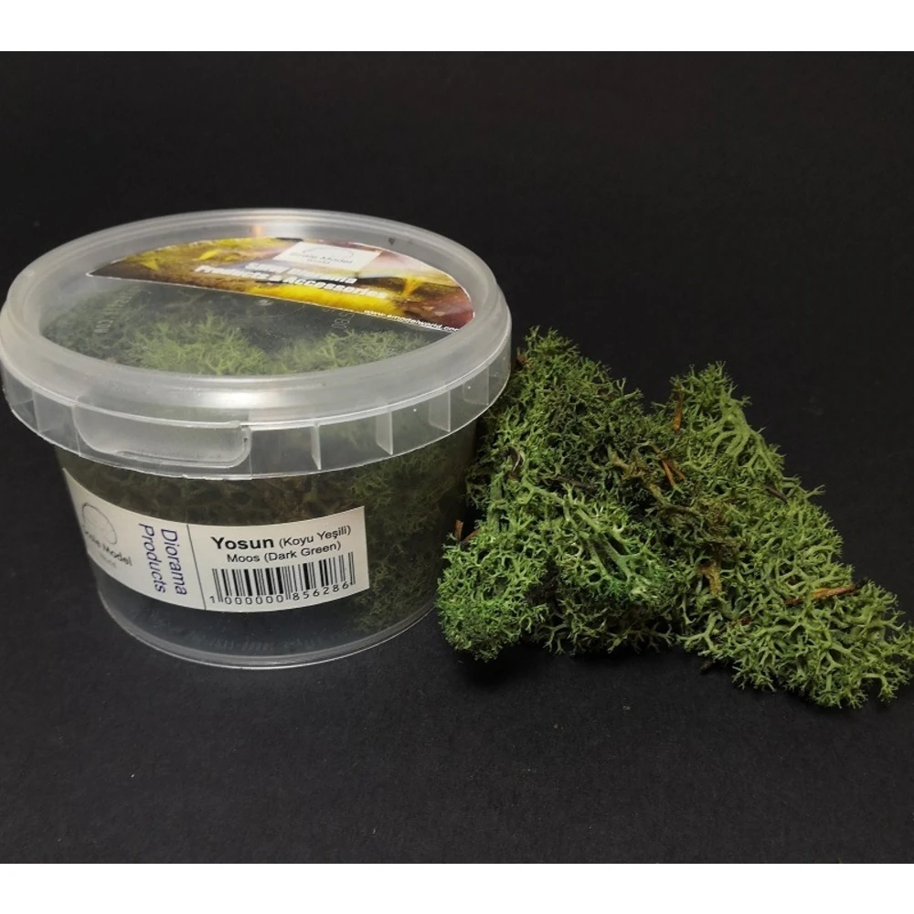Koyu Yeşil Reinder Yosun 20 Gr.