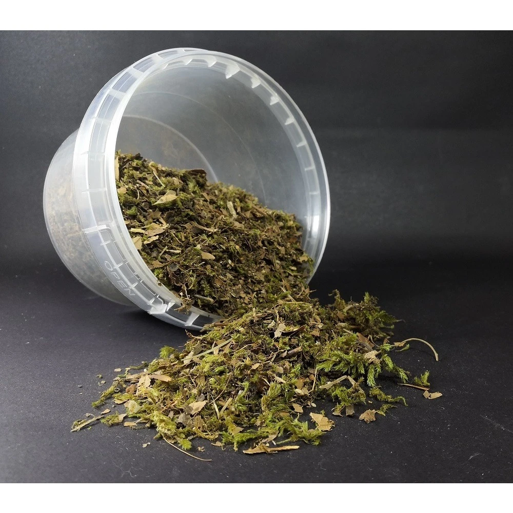 Orman zemin kırıntısı (Gerçek bitki)