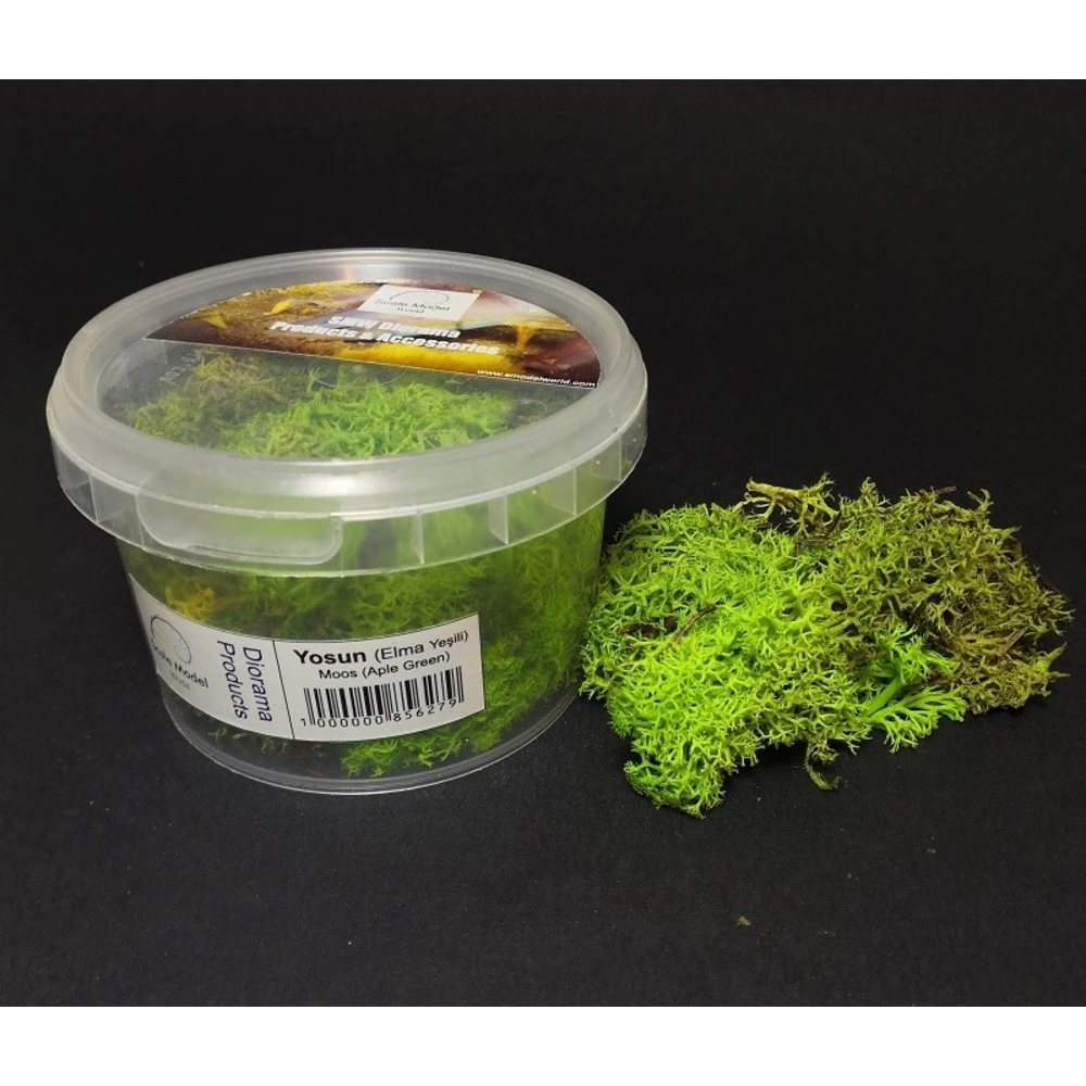 Elma Yeşili Reinder Yosun 20 Gr