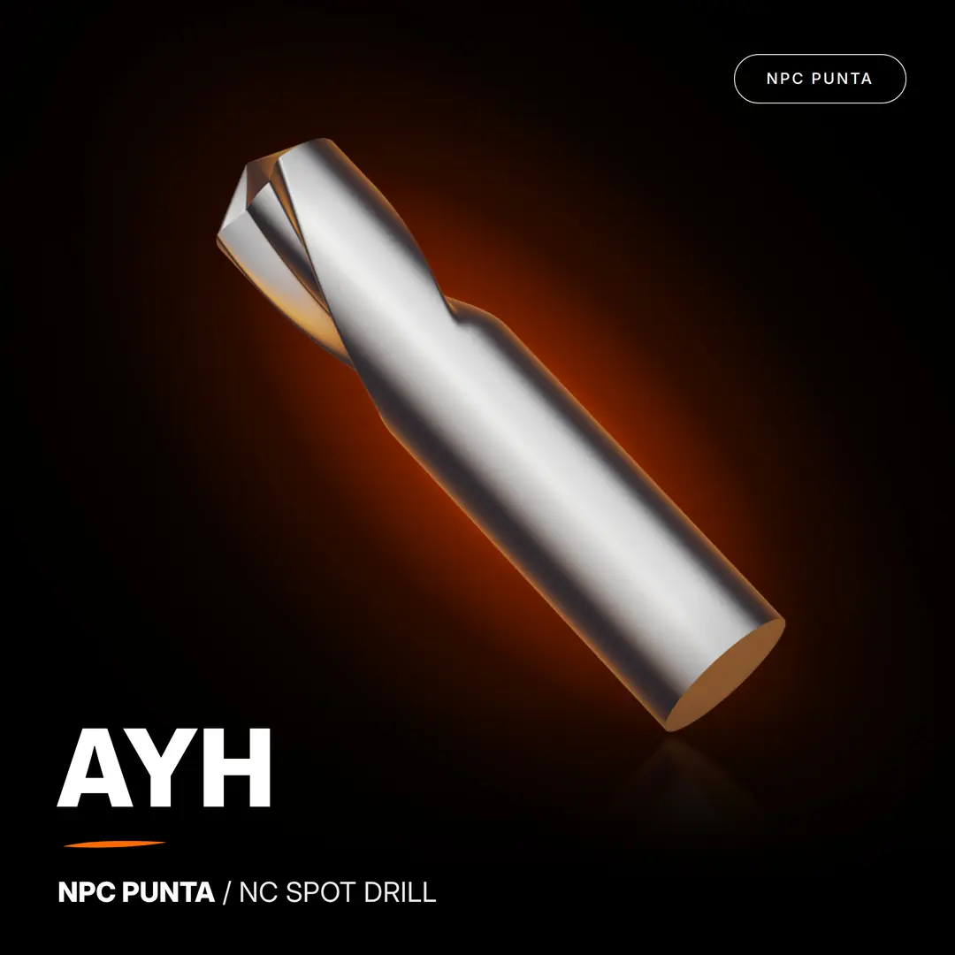 NC Punta