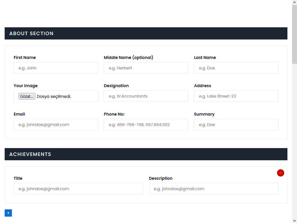 CV Builder V01