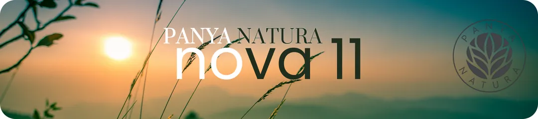 Panya Natura blog sayfası banner görseli
