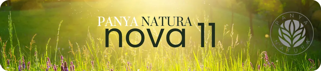 Panya Natura sıkça sorulan sorular banner görseli