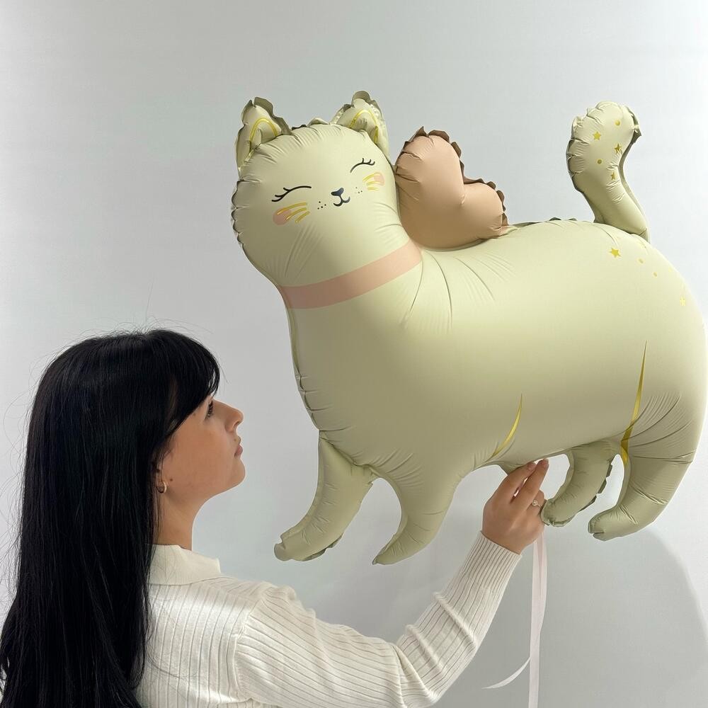 Krem Kedi Folyo Balon