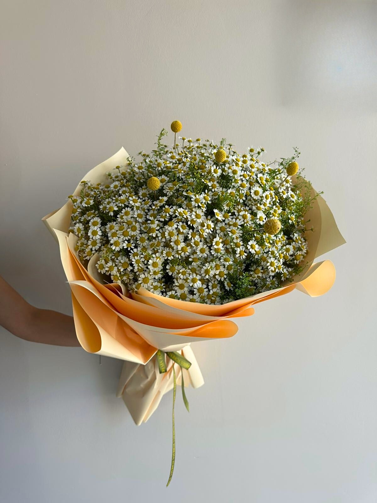 Papatya Buketi
