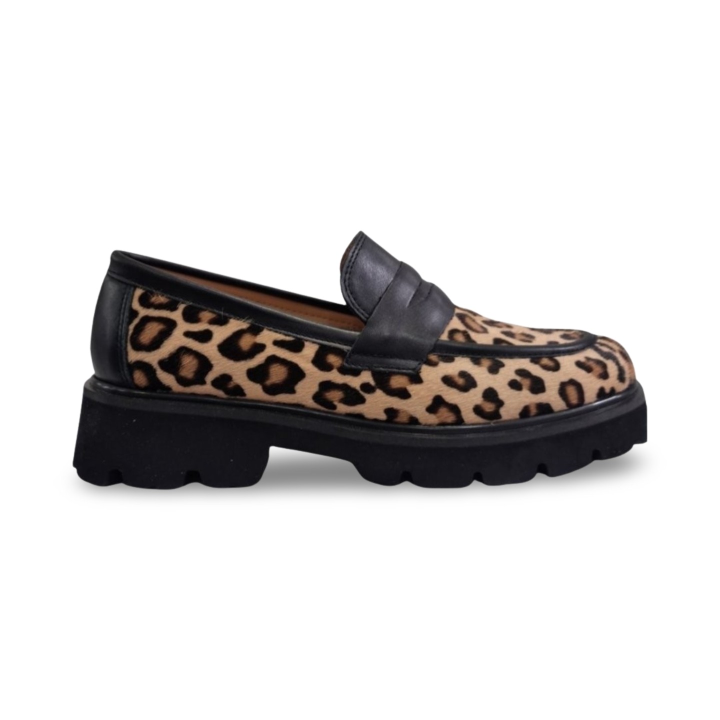   loafer leopar