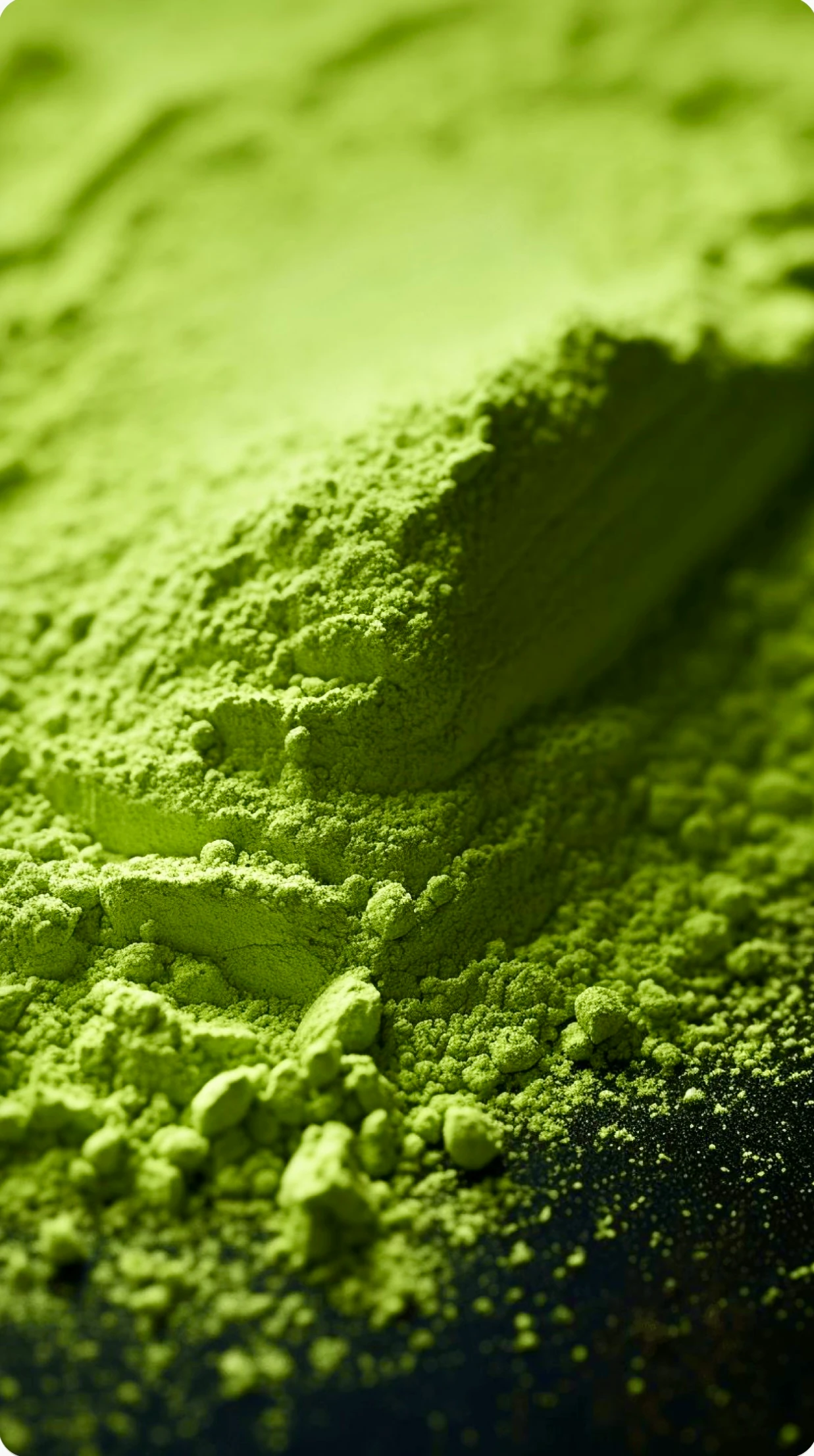 CEREMONIAL GRADE MATCHA - 500GR