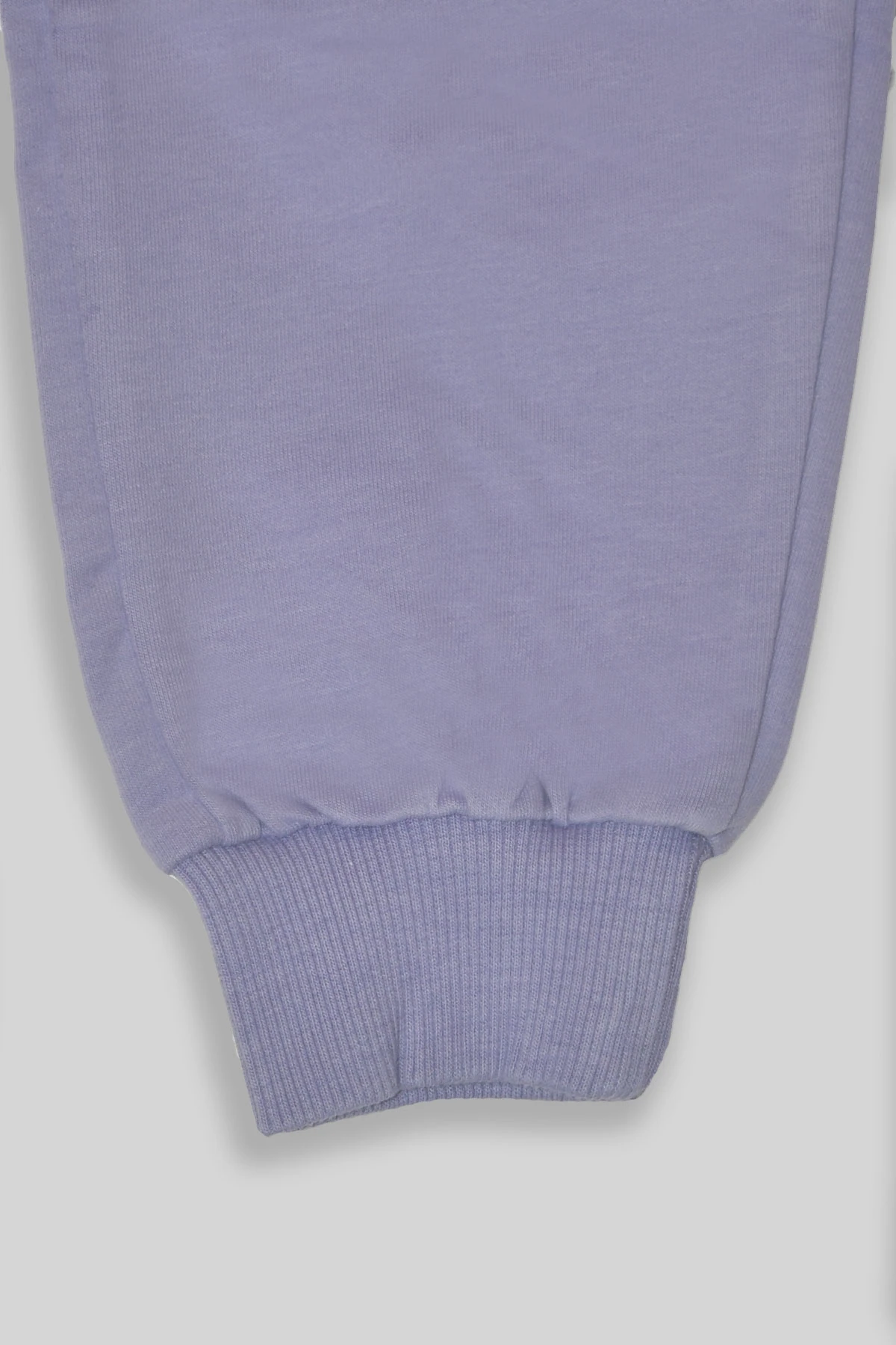 Kız Çocuk %100 Organik Pamuk Bitki Baskılı Yumuşacık Trend Eşofman Takımı - 1008 - Mor