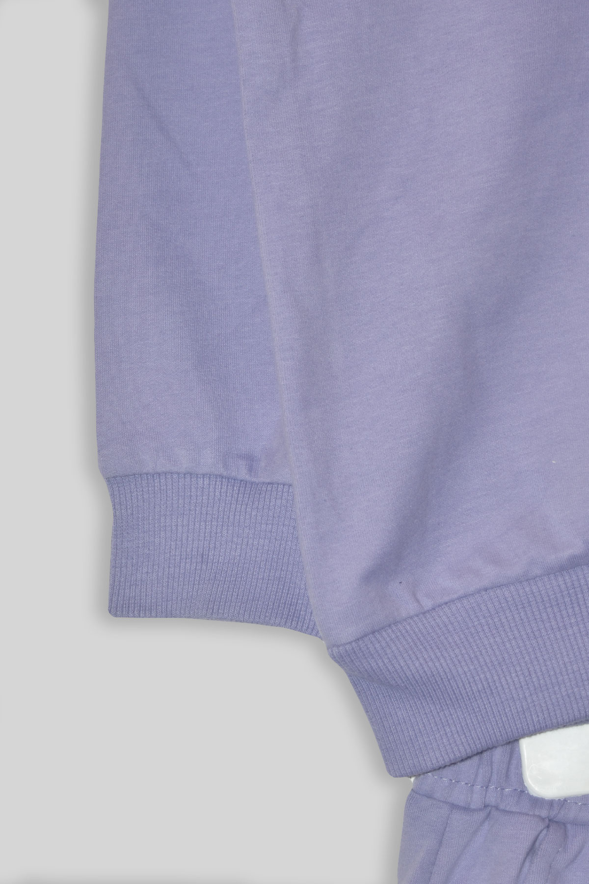 Kız Çocuk %100 Organik Pamuk Bitki Baskılı Yumuşacık Trend Eşofman Takımı - 1008 - Mor