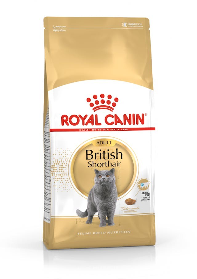 Royal Canin British Shorthair Yetişkin Kedi Maması 2 Kg
