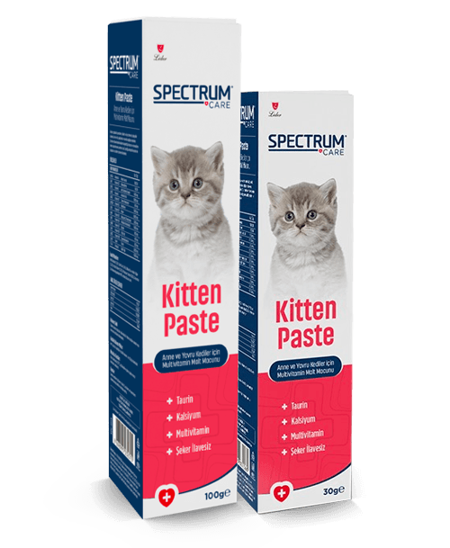 Spectrum Malt Multivitamin 100 Gr