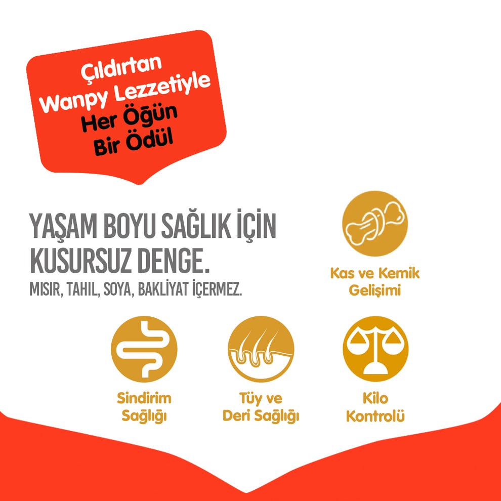 Wanpy Tahılsız Sığır Etli Yetişkin Köpek Maması 1.5kg