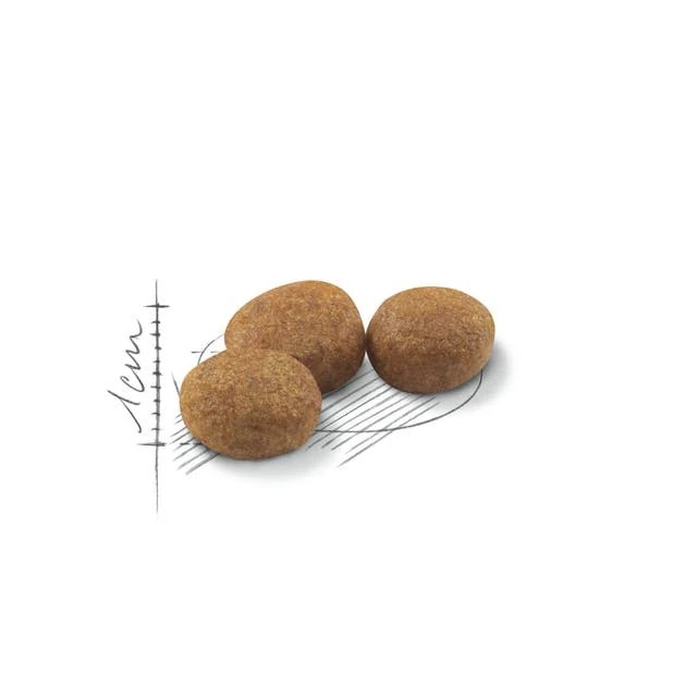 Royal Canin Sterilised 37 Kısırlaştırılmış Kedi Maması 4 Kg