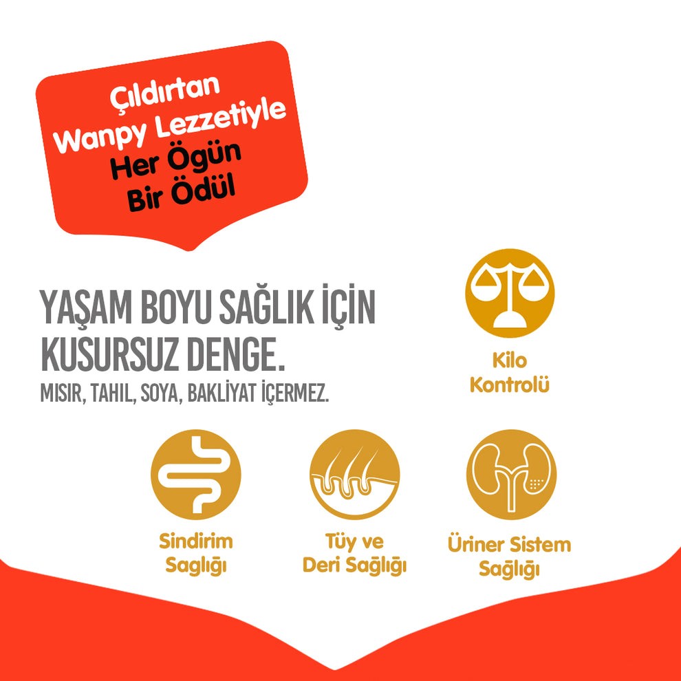 Wanpy Tahılsız Somonlu Yetişkin Kedi Maması 1.5kg