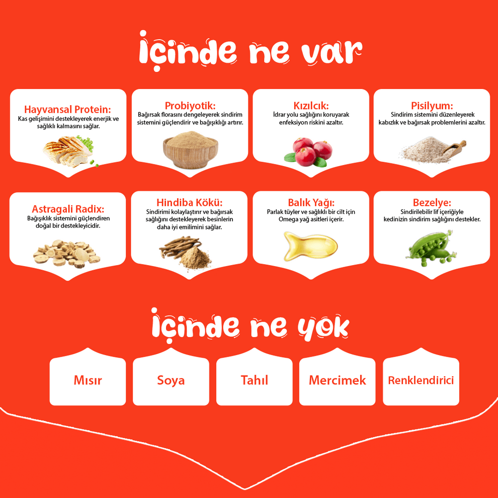 Wanpy Tahılsız Tavuklu Yavru Kedi Maması 1.5kg