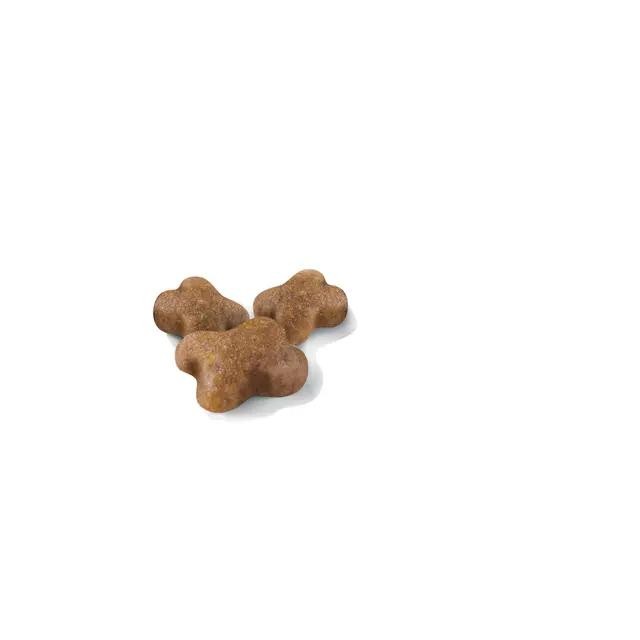 Royal Canin Kitten 2Kg + Yaş Mama 2 adet