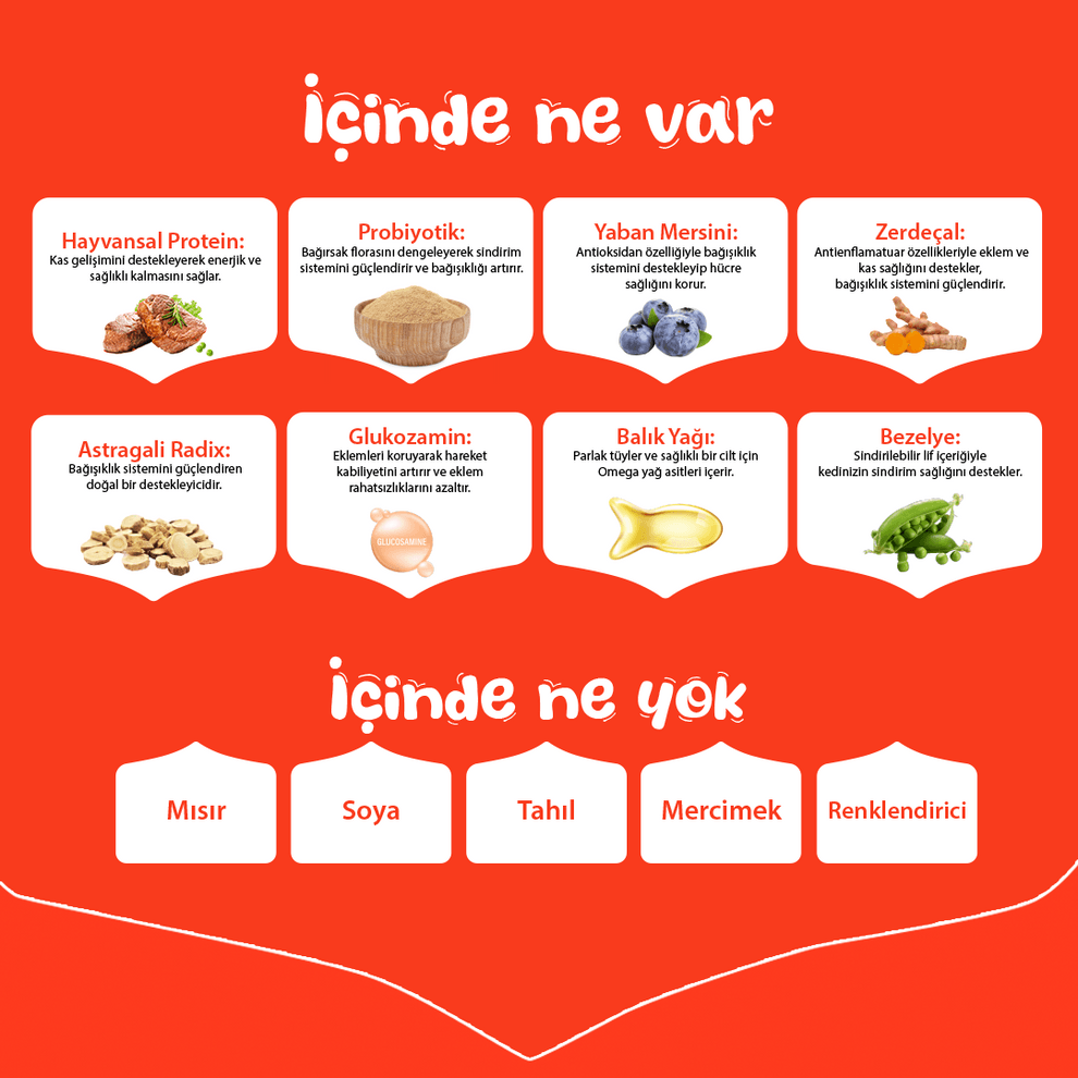 Wanpy Tahılsız Sığır Etli Yetişkin Köpek Maması 1.5kg