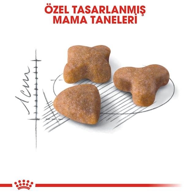 Royal Canin Sensible 33 Kedi Maması