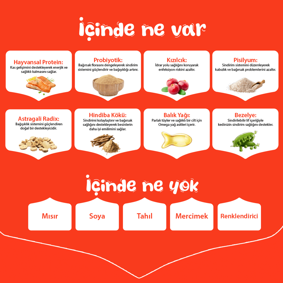 Wanpy Tahılsız Somonlu Yetişkin Kedi Maması 1.5kg