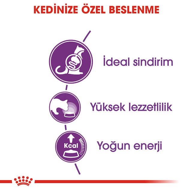 Royal Canin Sensible 33 Kedi Maması