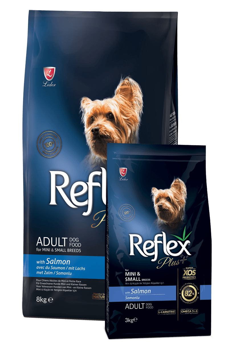 Reflex Plus Somonlu Mini ve Küçük Irk Yetişkin Köpek Maması