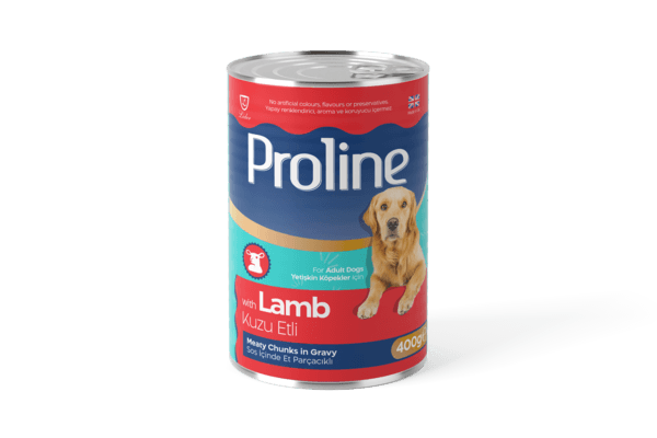 Proline Kuzu Etli Parça Etli Yetişkin Köpek Yaş Mama 400g