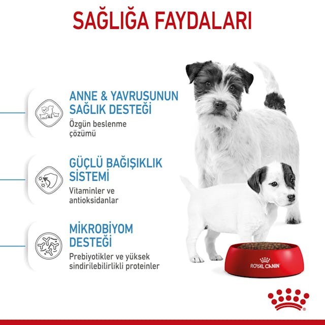 Royal Canin Mini Starter Küçük Irk Köpek Maması 4 Kg