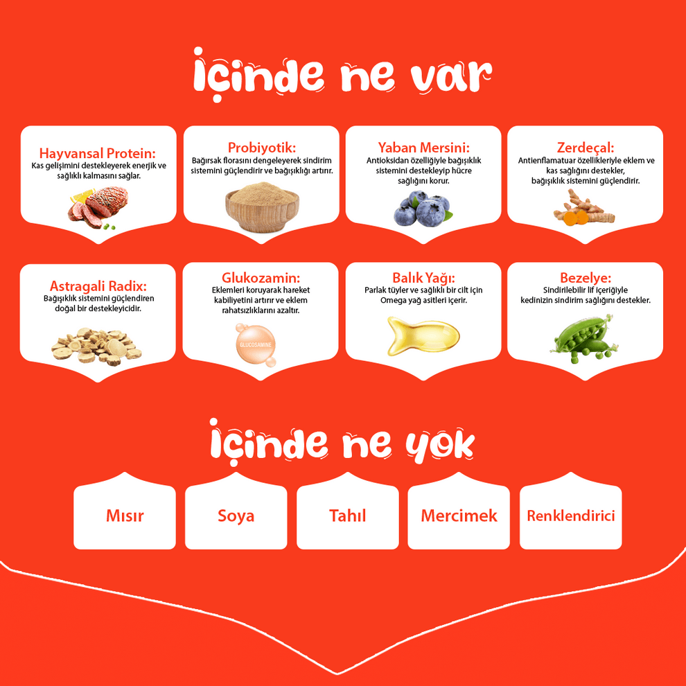 Wanpy Tahılsız Ördek Etli Yetişkin Köpek Maması 1.5kg