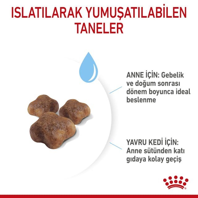 Royal Canin BabyCat Yavru Kedi Maması