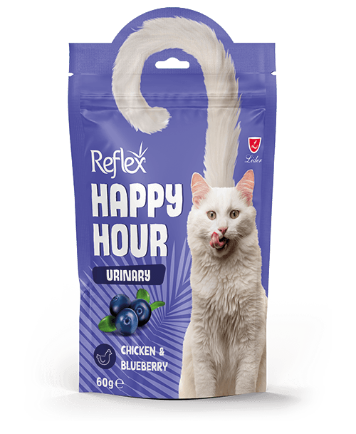 Reflex Happy Hour Üriner Sistem Destekleyici Kedi Ödül Maması 60 Gr