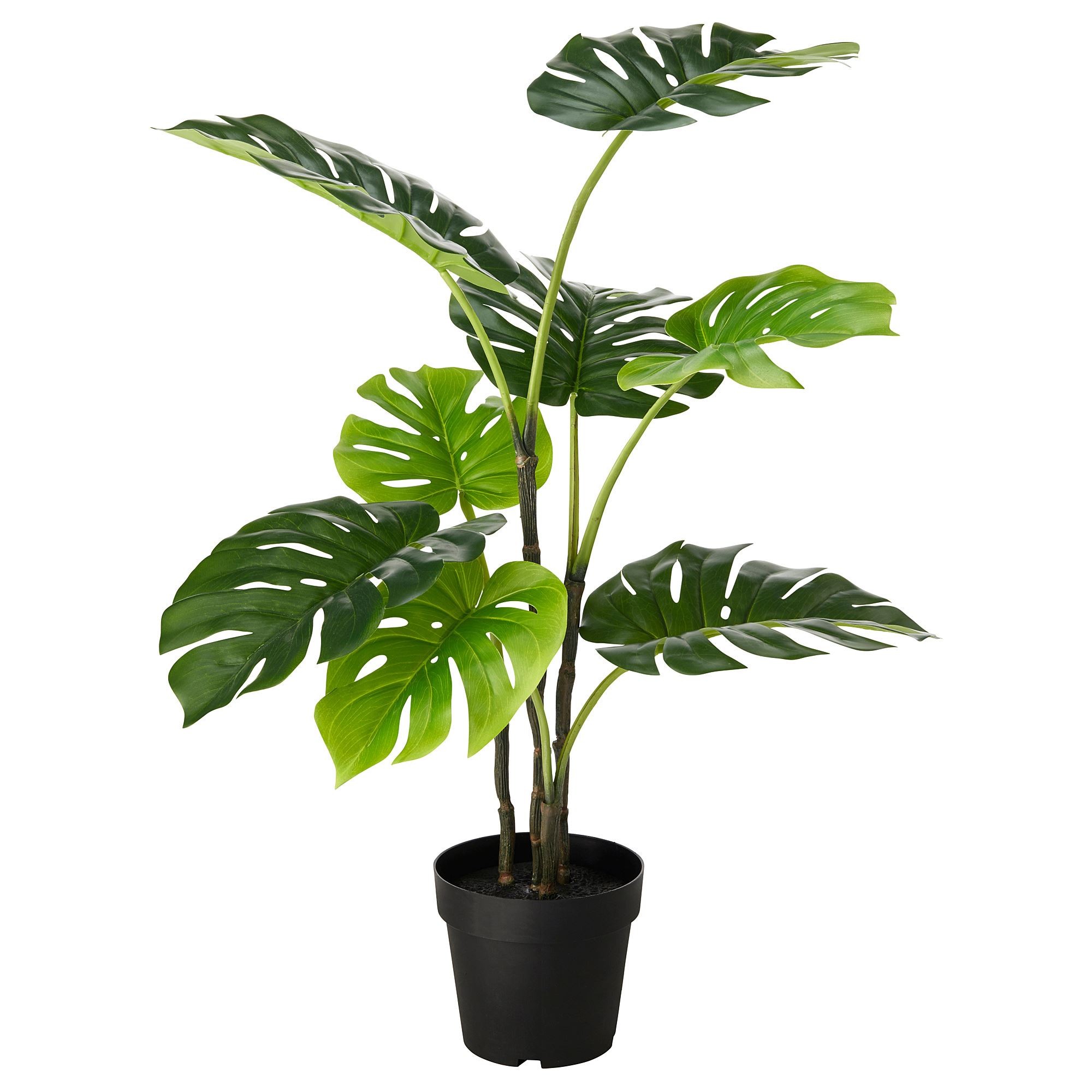 Yapay bitki, yeşil, 19 cm, monstera