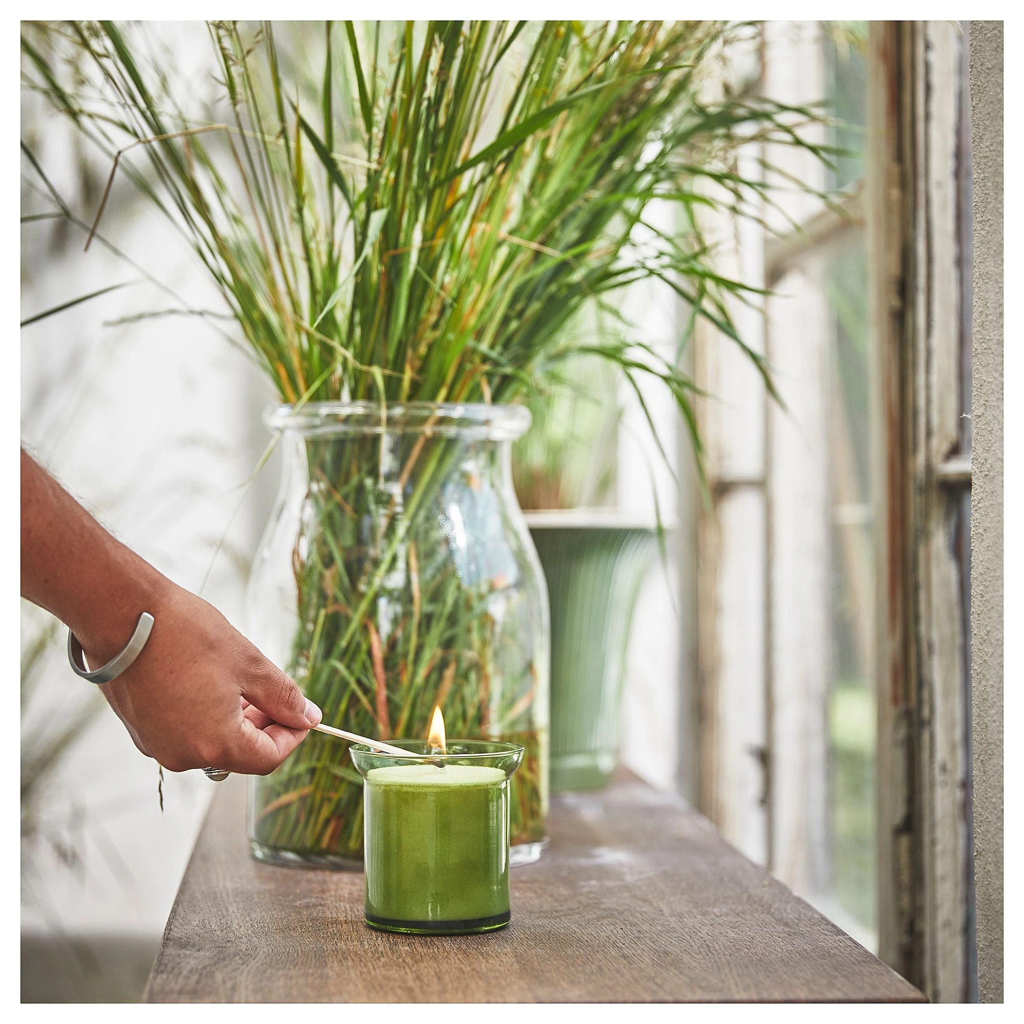 Bardakta kokulu mum, açık yeşil, 50 saat, çimen