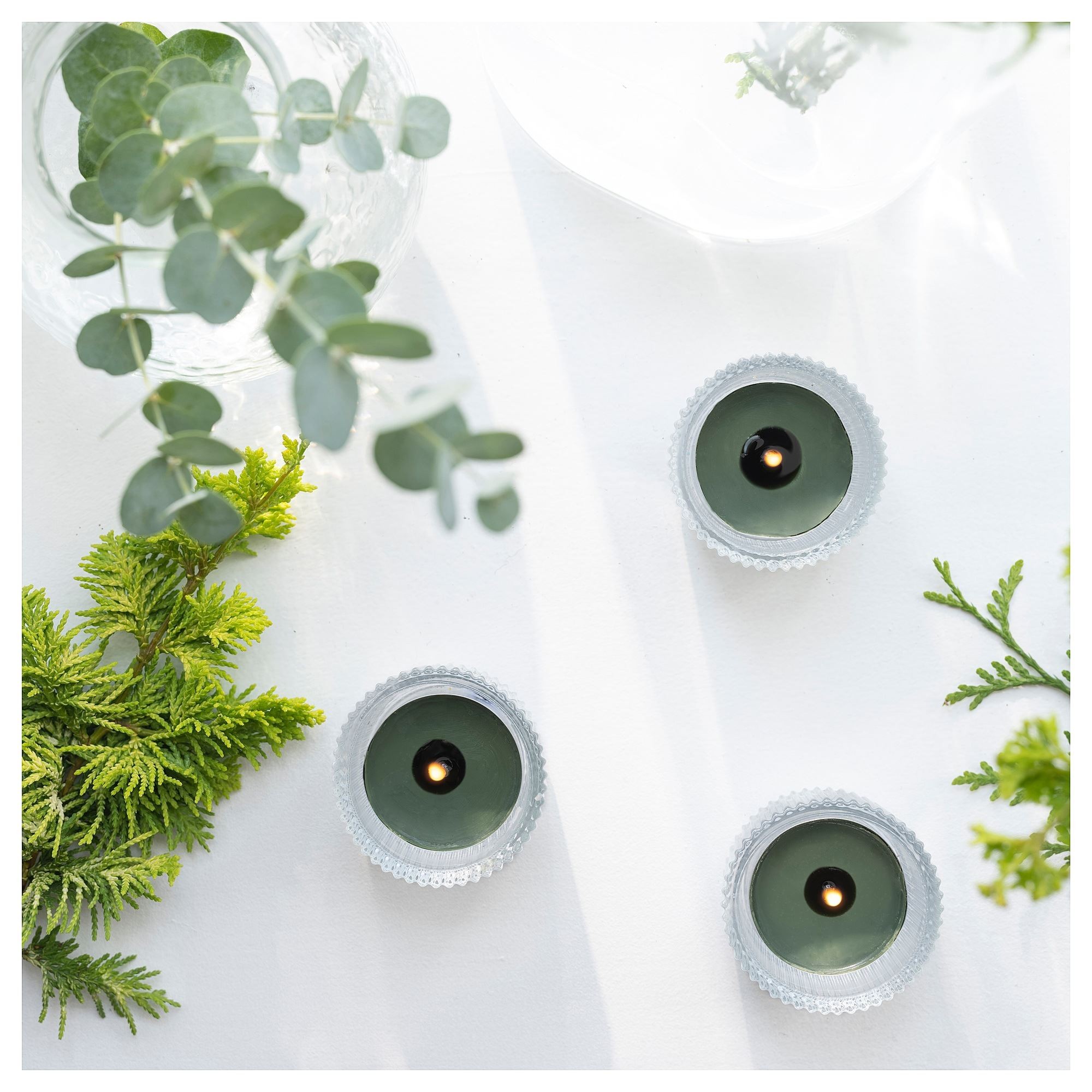 Kokulu tealight mum, koyu yeşil, 3.5 saat, 30 adet, çam ve yosunun