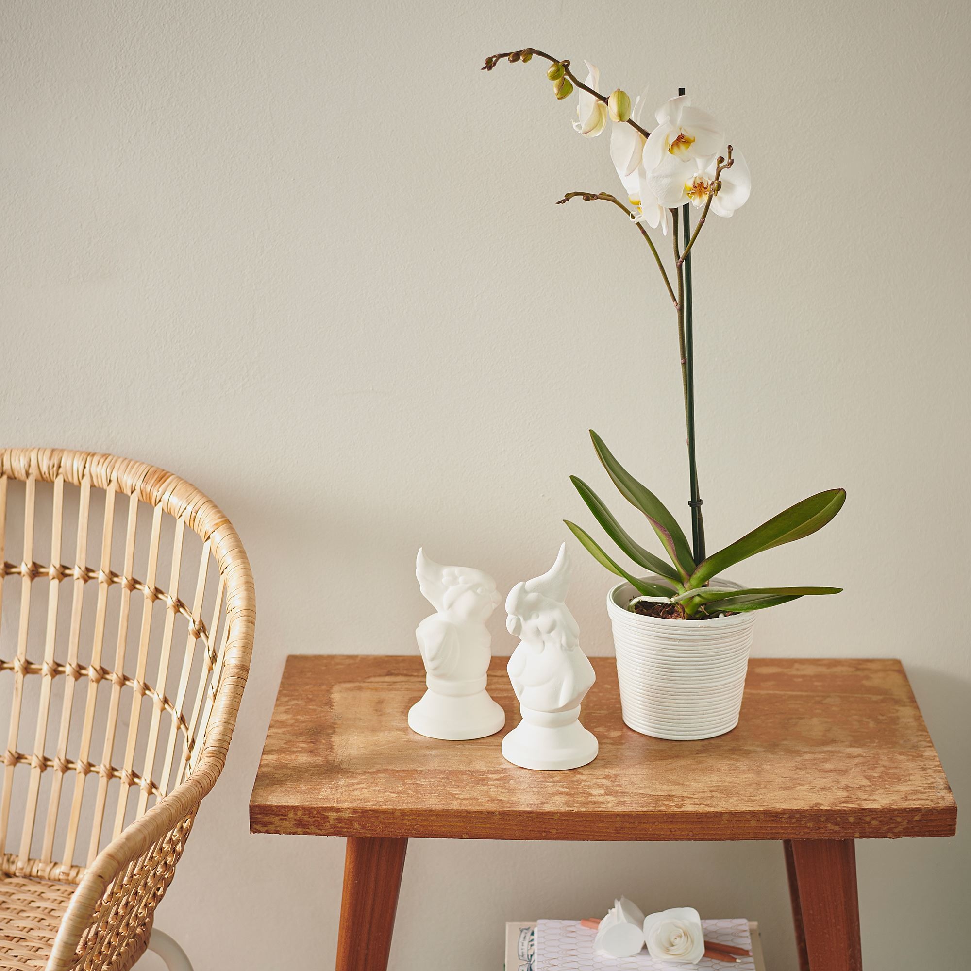 Rattan saksı, rattan, 12 cm